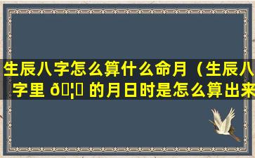 生辰八字怎么算什么命月（生辰八字里 🦟 的月日时是怎么算出来的）